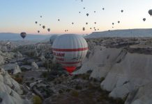 Urgent Need for Action to Prevent Violence