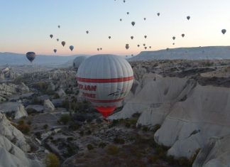 Urgent Need for Action to Prevent Violence