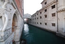 The Structure of the Bulgarian Army