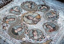 Olive Oil Irrigation and Traditional Greek Life