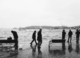 The Fish of the Lake